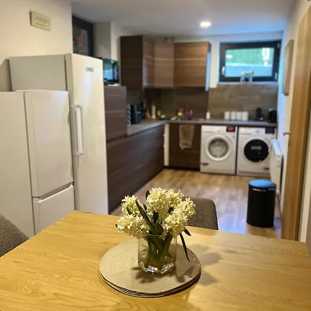 In A Luxury Chalet, Living Room, Kitchen And Games Guest house *