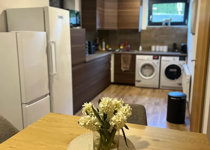 Pensionat Luxury Guest House, Living Room, Kitchen And Games